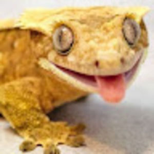 Meet your Posher, Ae